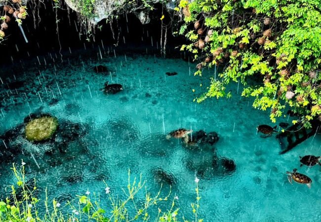 Salaam Cave & Turtle Swimming